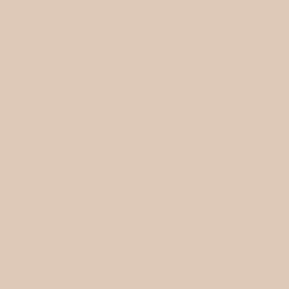 COAT Paint | Weekender | Warm Stone
