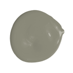 COAT Paint | Jojo's Green | Grey Green