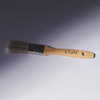 COAT Paint & Prime Essentials Kit