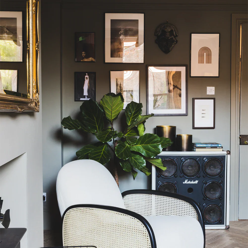 COAT Paint | Darlington | Umber Green
