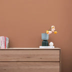 COAT Paint | Baked | Soft Terracotta