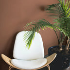 COAT Paint | Baked | Soft Terracotta