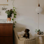 COAT Paint | Jojo’s White | Warm Grey Off-White