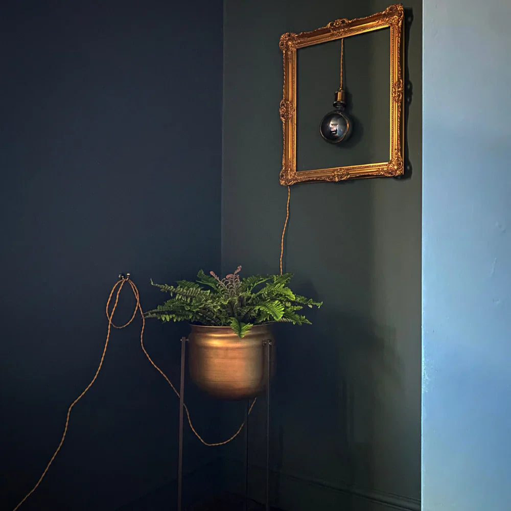 COAT Paint | Brewer | Dark Cool Green