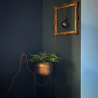 COAT Paint | Brewer | Dark Cool Green