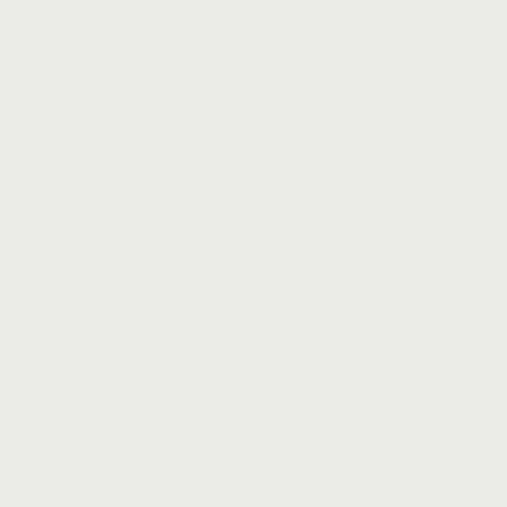 COAT Paint | Jojo’s White | Warm Grey Off-White