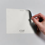 COAT Paint | Jojo’s White | Warm Grey Off-White