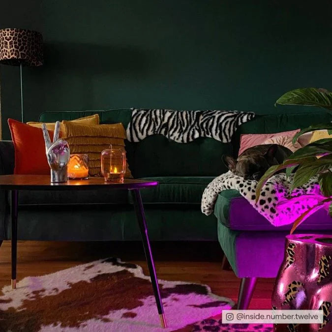 COAT Paint | Ditch the Tie | Dark Jewel Green