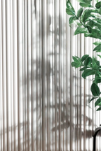 White wall panelling and plant in the background