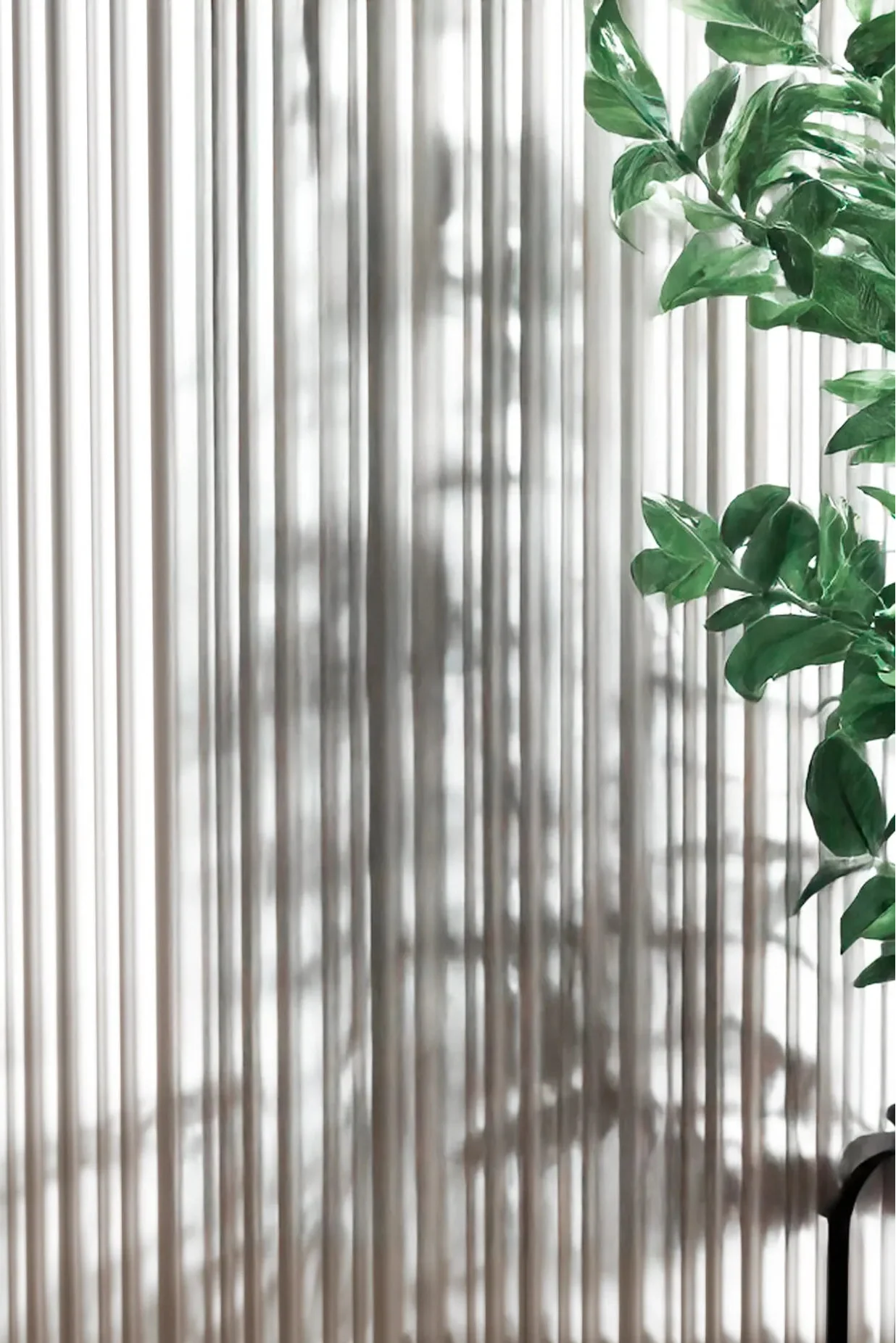 White wall panelling and plant in the background